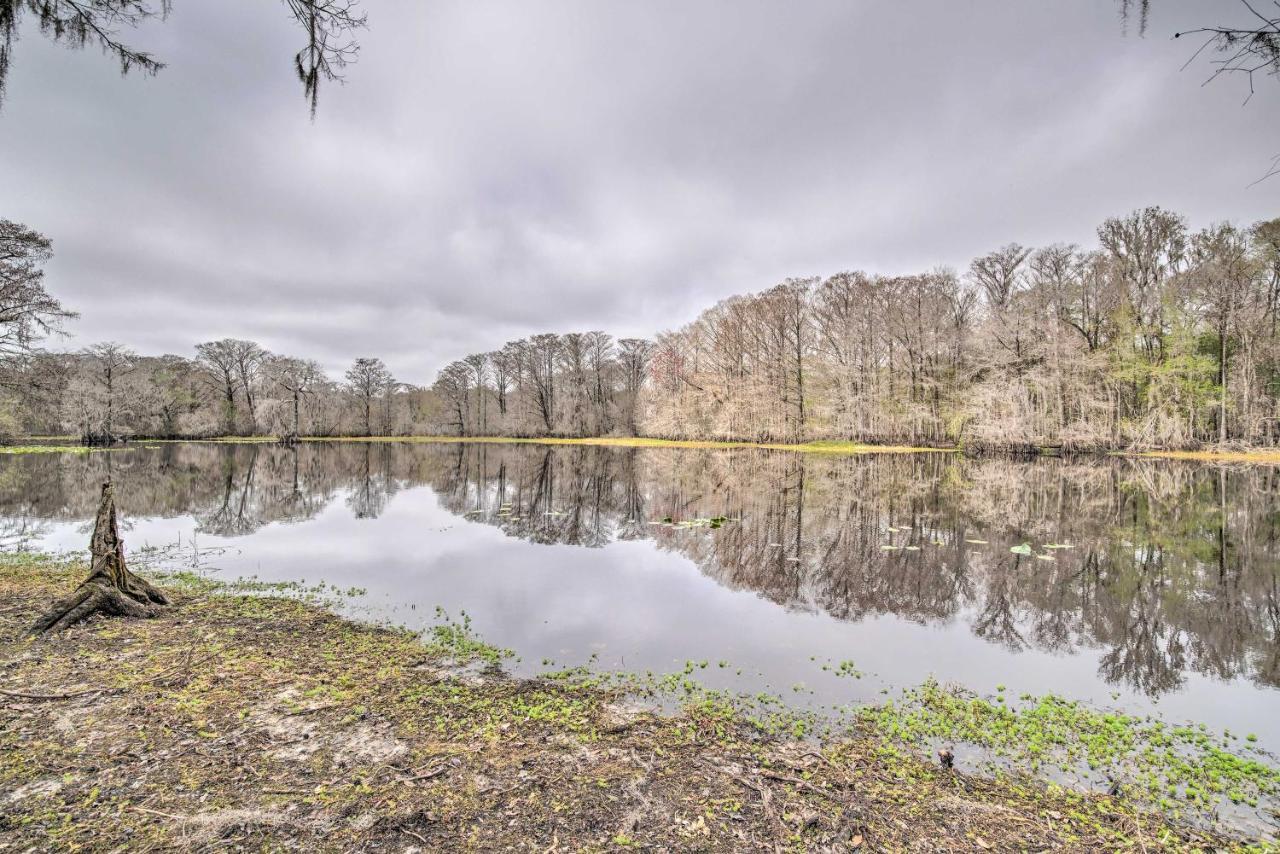 Unplugged Withlacoochee Riverfront Retreat! Bushnell Bagian luar foto